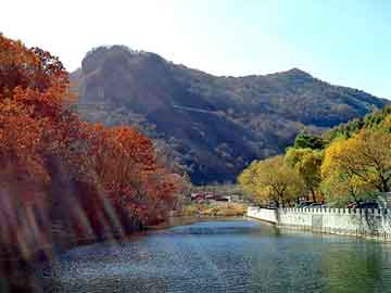 澳门二四六天天彩图库，申彗星女友